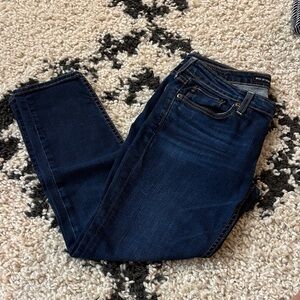 Big Star Women's Deep Indigo Skinny Jeans